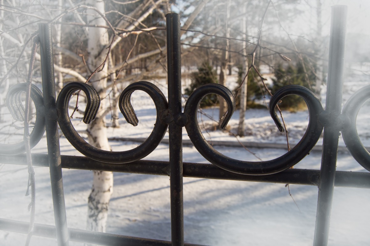 beautiful decorative cast iron fence the with the 2026 01 07 05 47 48 utc 1 ! | Gateway Automations | Gates for your estate